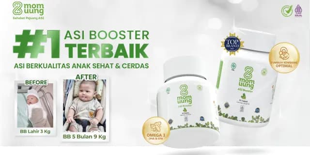 Rekomendasi ASI Booster: 5 Pilihan Alami, Praktis, dan Cara Cek BPOM