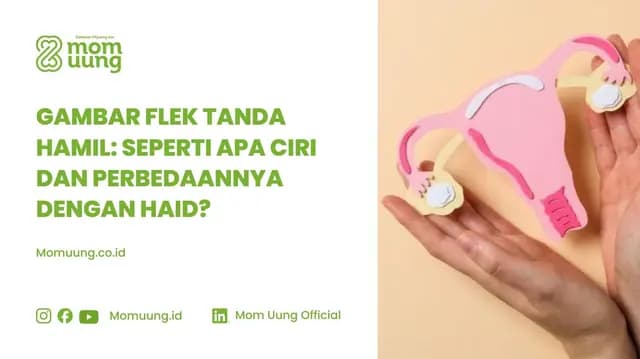 Gambar Flek Tanda Hamil: Ciri, Warna, dan Bedanya dengan Haid